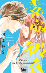 素敵な彼氏４巻ネタバレ感想 と無料で読む方法