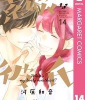 素敵な彼氏14巻無料