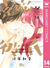 素敵な彼氏14巻無料